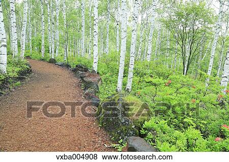 Stock Photo - Nagano Prefecture, Japan. Fotosearch