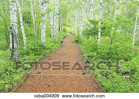 Nagano Prefecture, Japan View Large Photo Image Stock Photo - Nagano Prefecture, Japan. Fotosearch