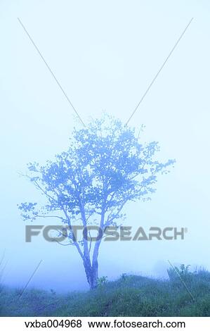 Stock Photo - Nagano Prefecture, Japan. Fotosearch