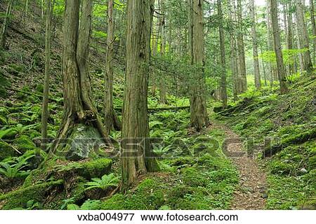 Nagano Prefecture, Japan View Large Photo Image Stock Photo - Nagano Prefecture, Japan. Fotosearch
