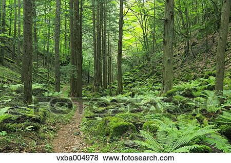 Nagano Prefecture, Japan View Large Photo Image Stock Photo - Nagano Prefecture, Japan. Fotosearch