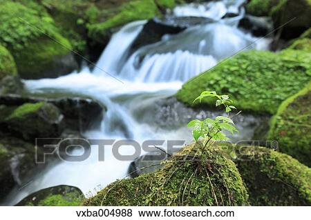 Stock Photo - Nagano Prefecture, Japan. Fotosearch