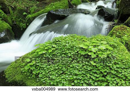 Nagano Prefecture, Japan View Large Photo Image Stock Photo - Nagano Prefecture, Japan. Fotosearch