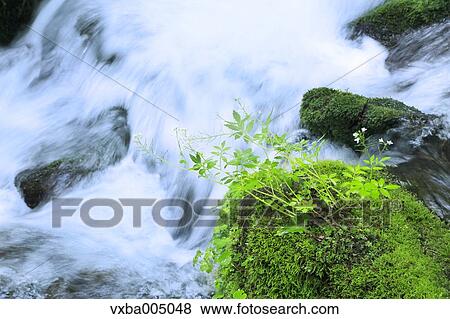 Nagano Prefecture, Japan View Large Photo Image Stock Photo - Nagano Prefecture, Japan. Fotosearch