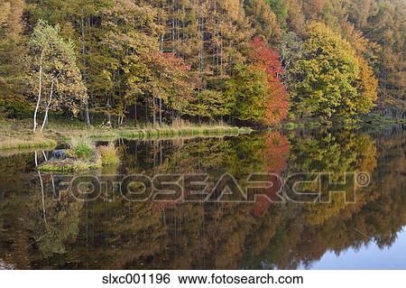 Nagano Prefecture, Japan View Large Photo Image Stock Photograph - Nagano Prefecture, Japan. Fotosearch