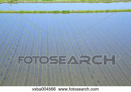 Stock Photograph - Nagano Prefecture, Japan. Fotosearch