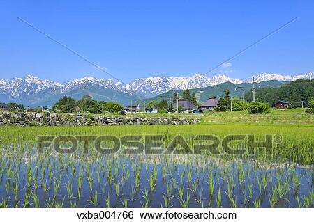Nagano Prefecture, Japan View Large Photo Image Stock Photograph - Nagano Prefecture, Japan. Fotosearch