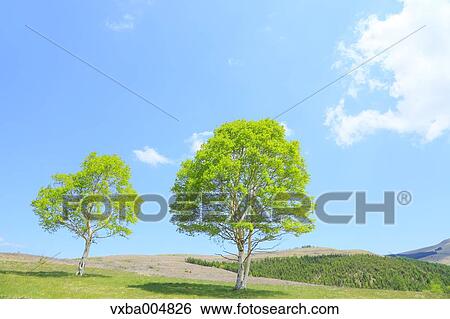 Stock Photograph - Nagano Prefecture, Japan. Fotosearch