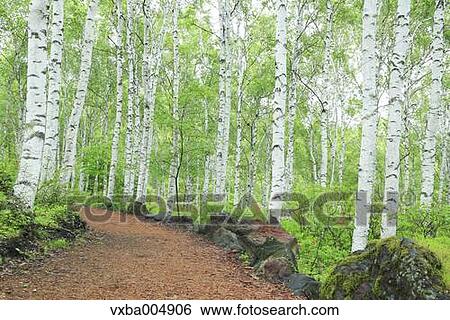 Nagano Prefecture, Japan View Large Photo Image Stock Photograph - Nagano Prefecture, Japan. Fotosearch