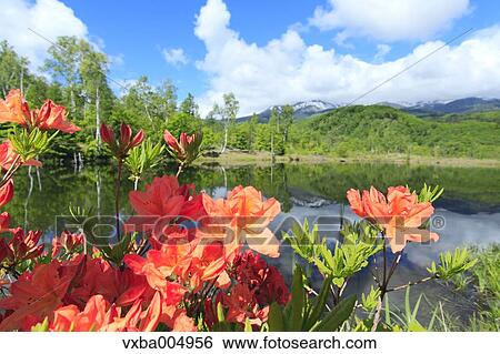 Stock Photograph - Nagano Prefecture, Japan. Fotosearch