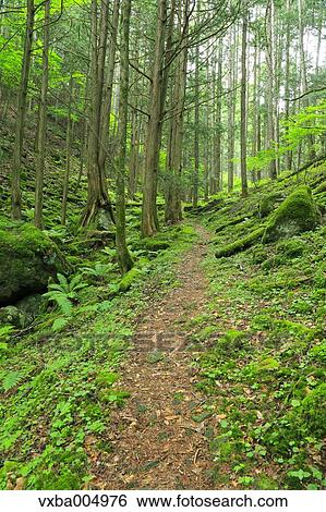 Nagano Prefecture, Japan View Large Photo Image Stock Photograph - Nagano Prefecture, Japan. Fotosearch