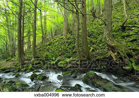 Nagano Prefecture, Japan View Large Photo Image Stock Photograph - Nagano Prefecture, Japan. Fotosearch