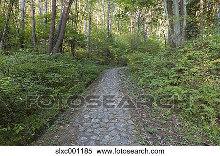 Nagano Prefecture, Japan View Large Photo Image Stock Photography - Nagano Prefecture, Japan. Fotosearch
