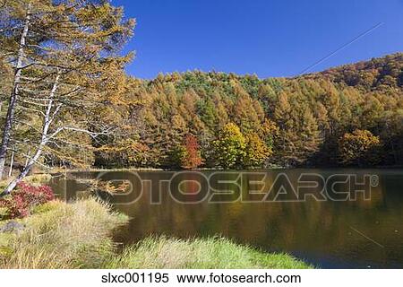 Nagano Prefecture, Japan View Large Photo Image Stock Photography - Nagano Prefecture, Japan. Fotosearch