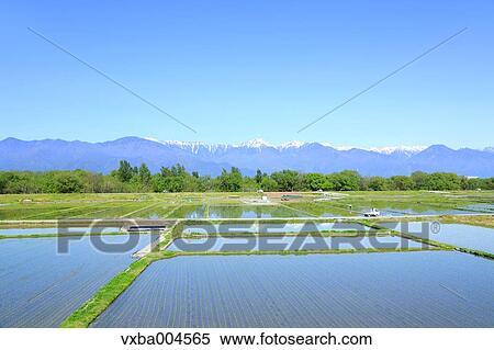 Nagano Prefecture, Japan View Large Photo Image Stock Photography - Nagano Prefecture, Japan. Fotosearch