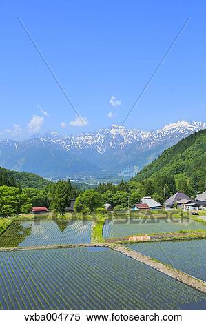 Nagano Prefecture, Japan View Large Photo Image Stock Photography - Nagano Prefecture, Japan. Fotosearch