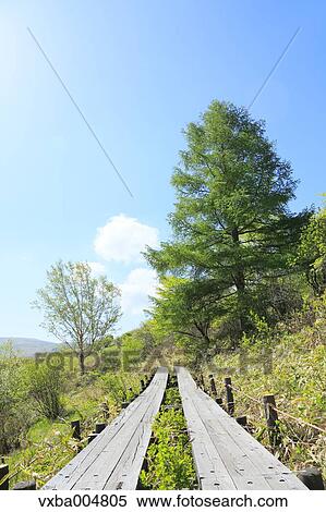 Stock Photography - Nagano Prefecture, Japan. Fotosearch