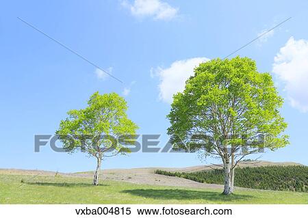 Stock Photography - Nagano Prefecture, Japan. Fotosearch