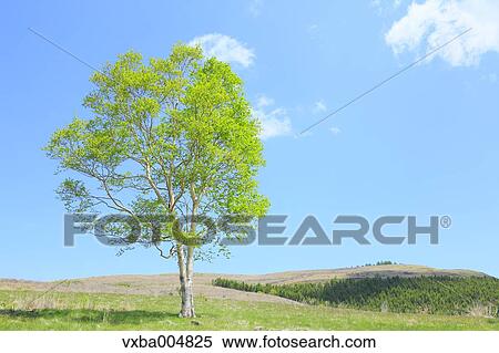 Nagano Prefecture, Japan View Large Photo Image Stock Photography - Nagano Prefecture, Japan. Fotosearch
