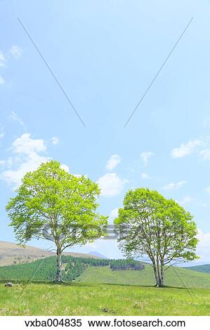 Stock Photography - Nagano Prefecture, Japan. Fotosearch