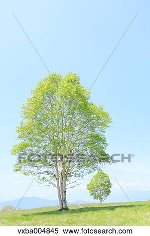 Stock Photography - Nagano Prefecture, Japan. Fotosearch