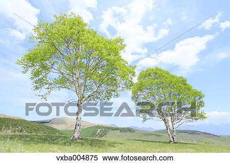 Stock Photography - Nagano Prefecture, Japan. Fotosearch