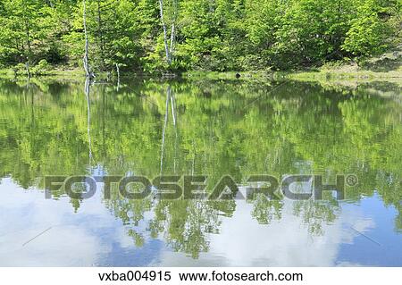 Nagano Prefecture, Japan View Large Photo Image Stock Photography - Nagano Prefecture, Japan. Fotosearch