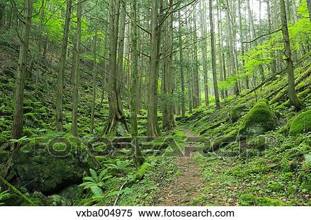 Stock Photography - Nagano Prefecture, Japan. Fotosearch