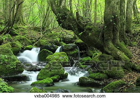 Nagano Prefecture, Japan View Large Photo Image Stock Photography - Nagano Prefecture, Japan. Fotosearch