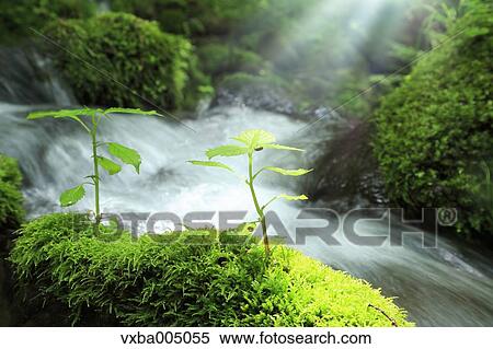Nagano Prefecture, Japan View Large Photo Image Stock Photography - Nagano Prefecture, Japan. Fotosearch