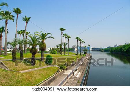Palm trees and sky View Large Photo Image Stock Image - Palm trees and sky. Fotosearch