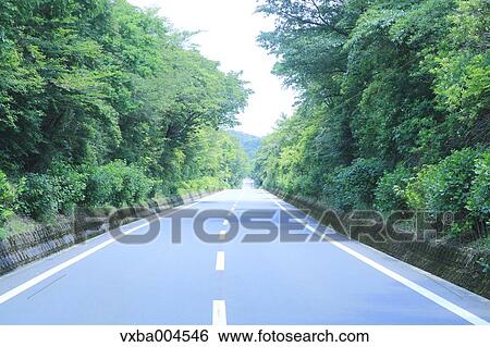 Road in the countryside View Large Photo Image Stock Photograph - Road in the countryside. Fotosearch