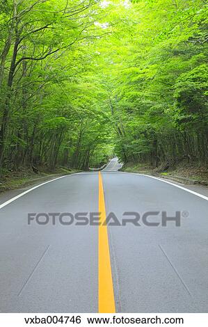 Road in the countryside View Large Photo Image Stock Photograph - Road in the countryside. Fotosearch