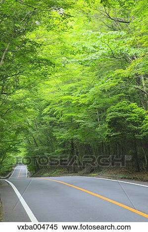 Road in the countryside View Large Photo Image Stock Photography - Road in the countryside. Fotosearch