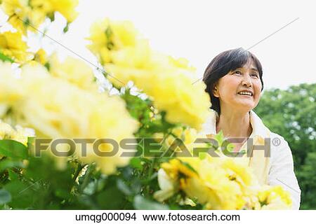 Senior adult Japanese woman in a park View Large Photo Image Picture - Senior adult Japanese woman in a park. Fotosearch