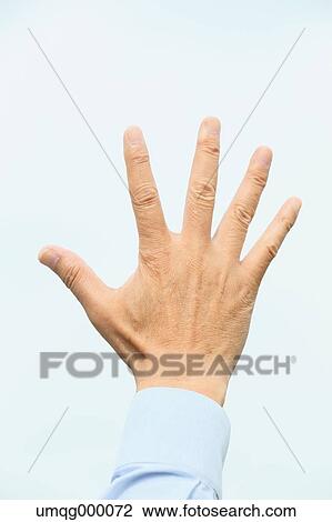 Stock Image - Senior adult man hand. Fotosearch