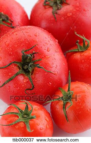 Stock Photo - Tomatoes. Fotosearch