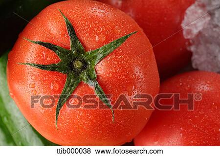 Tomatoes View Large Photo Image Stock Photo - Tomatoes. Fotosearch