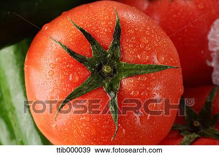 Stock Photo - Tomatoes. Fotosearch