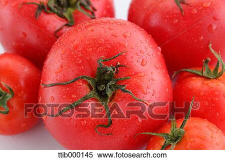 Stock Photography - Tomatoes. Fotosearch