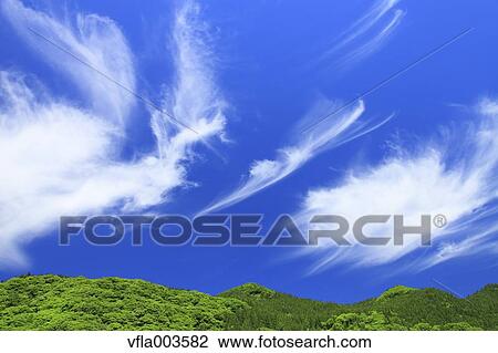 Trees and sky with clouds View Large Photo Image Stock Image - Trees and sky with clouds. Fotosearch