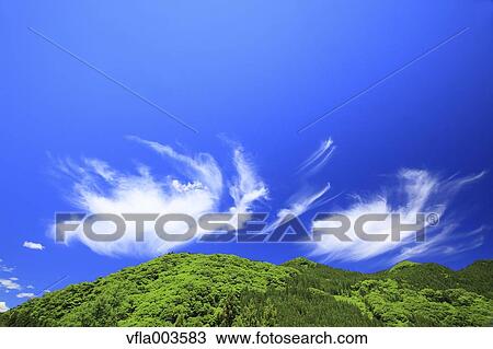 Stock Image - Trees and sky with clouds. Fotosearch