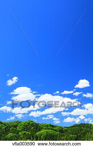 Trees and sky with clouds View Large Photo Image Stock Image - Trees and sky with clouds. Fotosearch