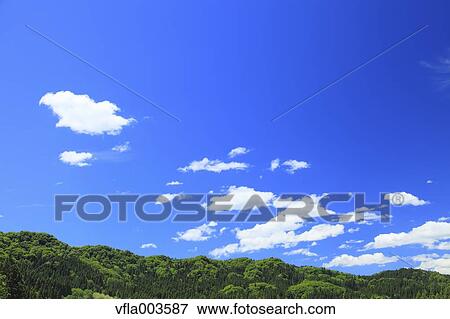 Trees and sky with clouds View Large Photo Image Stock Photo - Trees and sky with clouds. Fotosearch