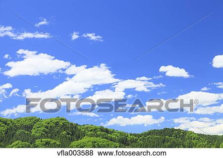 Trees and sky with clouds View Large Photo Image Stock Photo - Trees and sky with clouds. Fotosearch