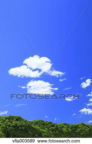 Trees and sky with clouds View Large Photo Image Stock Photo - Trees and sky with clouds. Fotosearch
