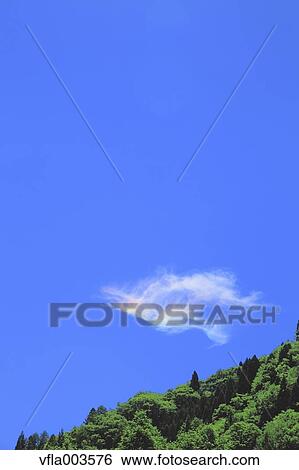 Trees and sky with clouds View Large Photo Image Stock Photograph - Trees and sky with clouds. Fotosearch
