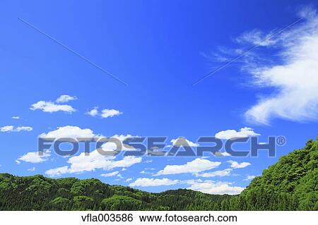 Trees and sky with clouds View Large Photo Image Stock Photograph - Trees and sky with clouds. Fotosearch