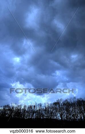 Trees and sky with clouds View Large Photo Image Stock Photograph - Trees and sky with clouds. Fotosearch