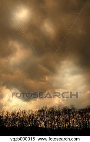 Trees and sky with clouds View Large Photo Image Stock Photography - Trees and sky with clouds. Fotosearch